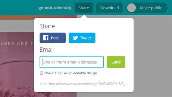 Canva screenshot