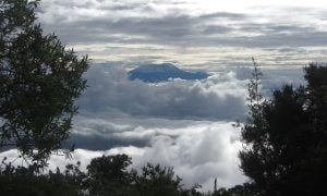 Mounti Kilimanjaro