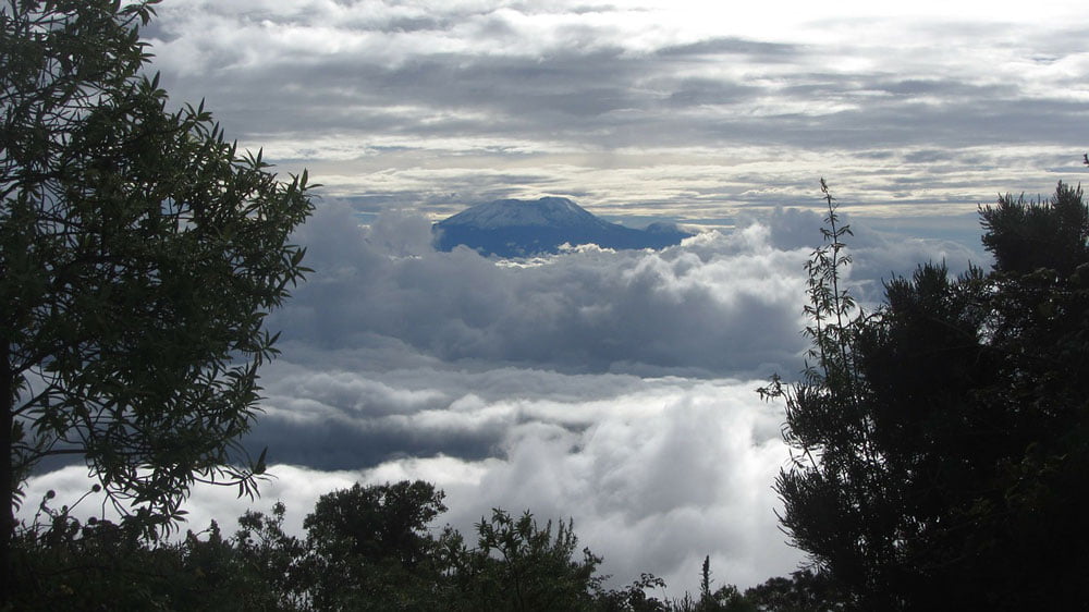 Mounti Kilimanjaro