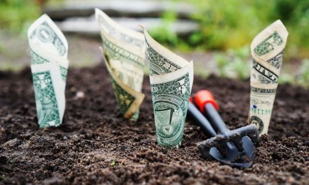 planing money in the garden to make it grow investment analogy