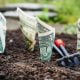 planing money in the garden to make it grow investment analogy