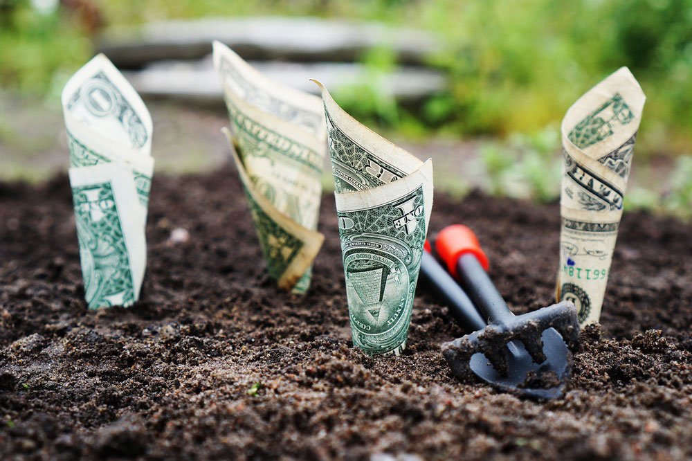 planing money in the garden to make it grow investment analogy