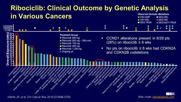 very cluttered slide