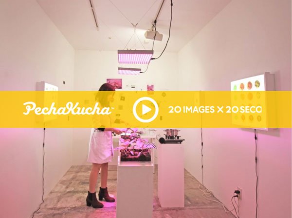 PechaKucha talk - When Art and Science Collide