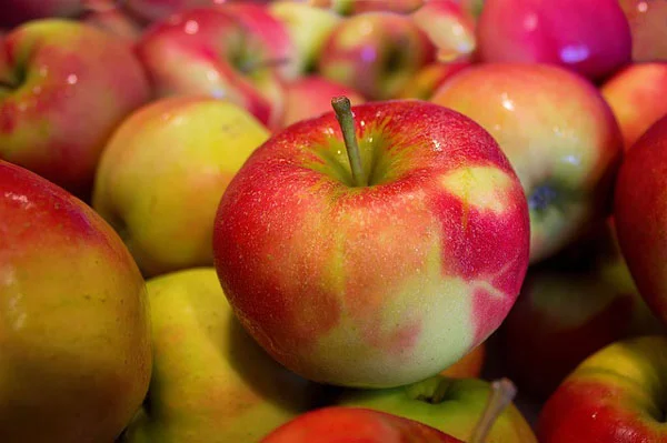 pile of shiny apples