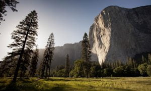 El Capitan rock face in Yosemite Park