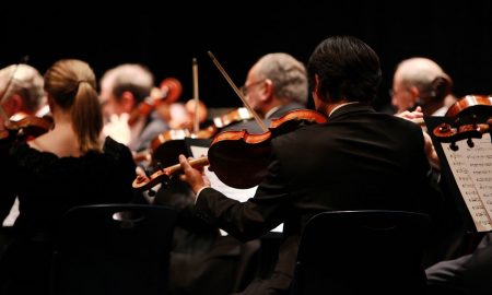 rear view of string section of orchestra performing