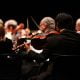 rear view of string section of orchestra performing