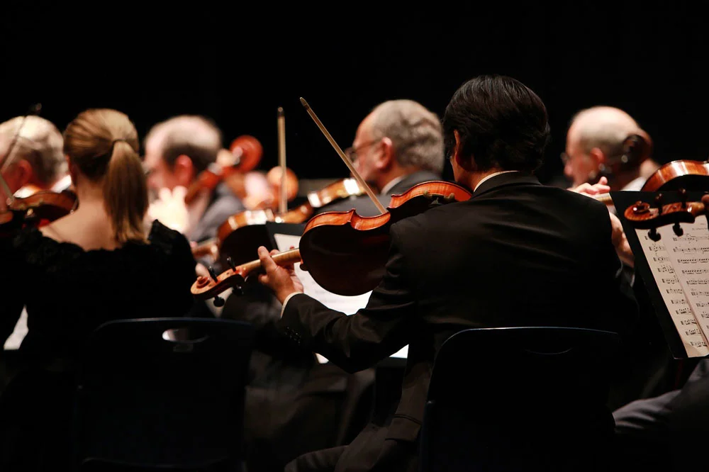 rear view of string section of orchestra performing