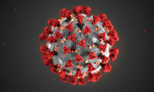 Coronoavirus